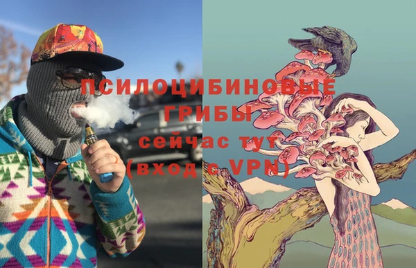 хмурый Верхний Тагил