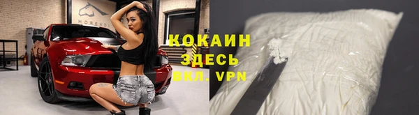 твердый Бородино