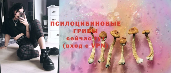 хмурый Верхний Тагил