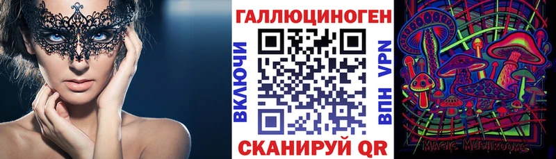 купить   Симферополь  Галлюциногенные грибы Psilocybe 